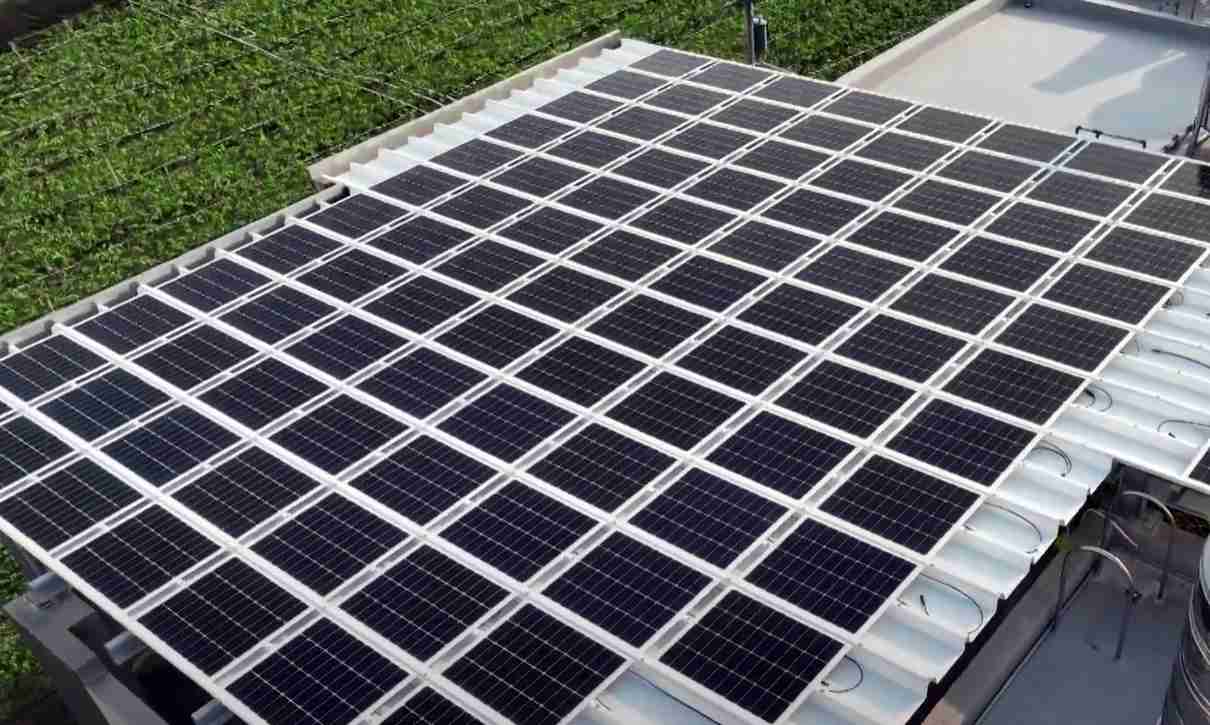 918.COMSunSteel光电浪板升级双玻结构，，以提升机械负载强度及气候耐候度，，可广泛运用于多元场域