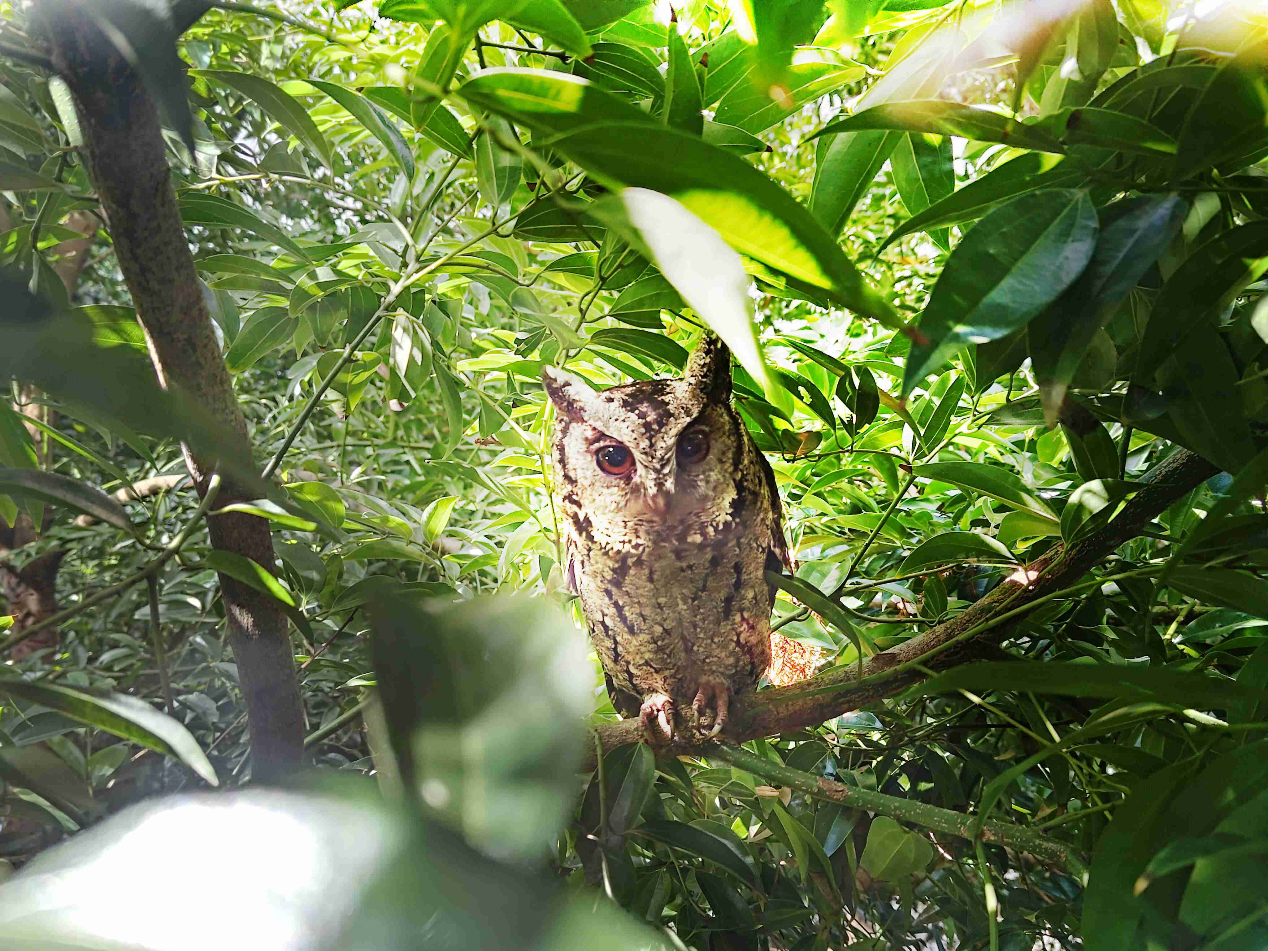 918.COM致力提倡净零绿生活，，，16年以来在全球各厂区植树逾百万棵，，造就各厂区树木蔚然成林，，，犹如森林工厂，，成为许多生物的栖息地